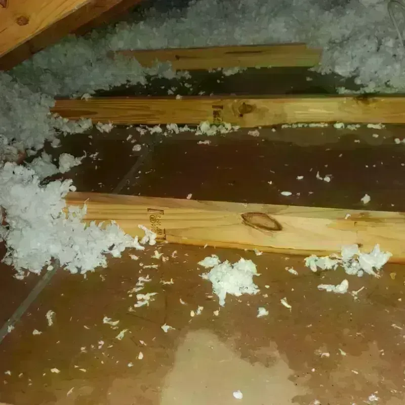 Attic Water Damage in Wareham Center, MA