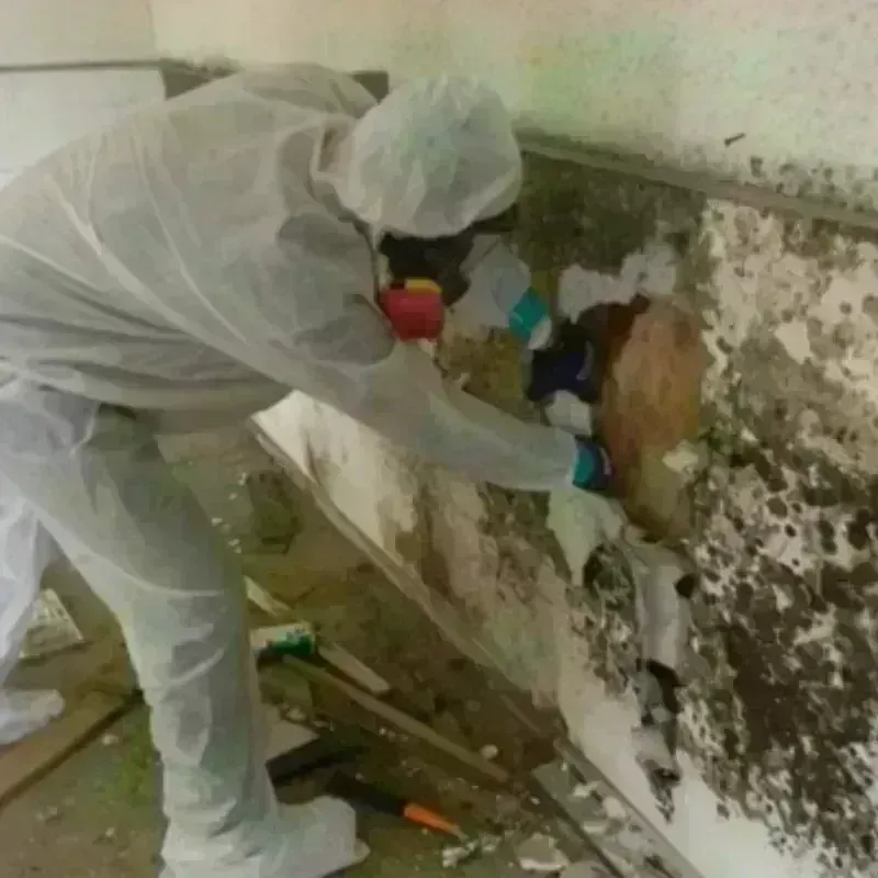 Mold Remediation and Removal in Wareham Center, MA